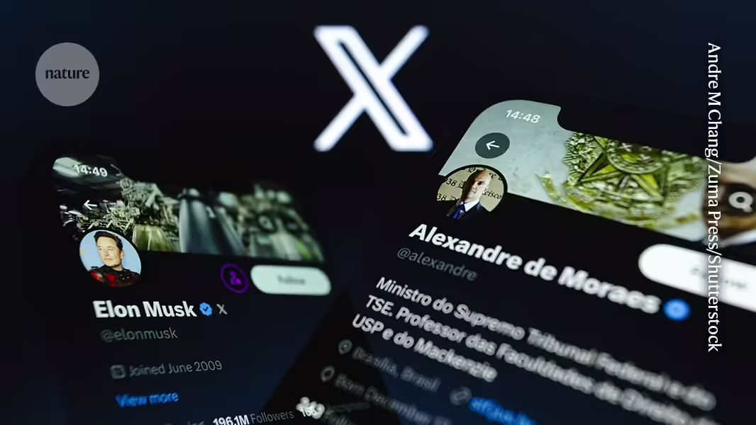 Brasiliens Verbot von X: Wie Wissenschaftler mit dem Stopp umgehen