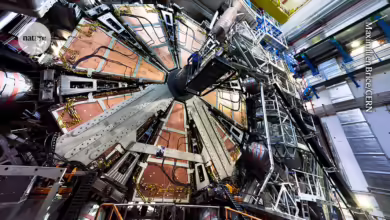 Quantum feat: physicists observe entangled quarks for first time