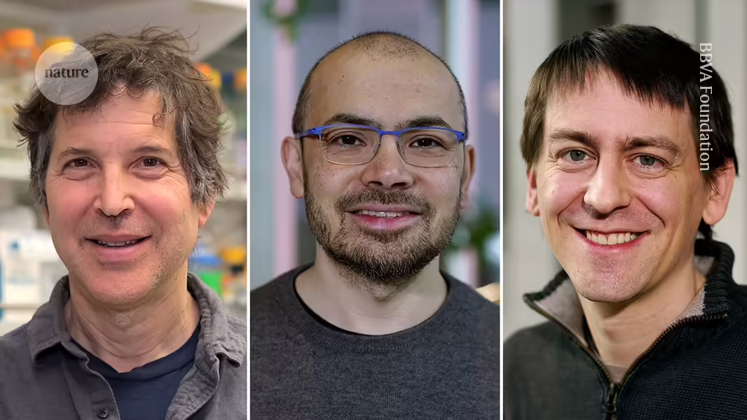 Chemie-Nobelpreis für Entwickler von AlphaFold AI zur Vorhersage von Proteinstrukturen