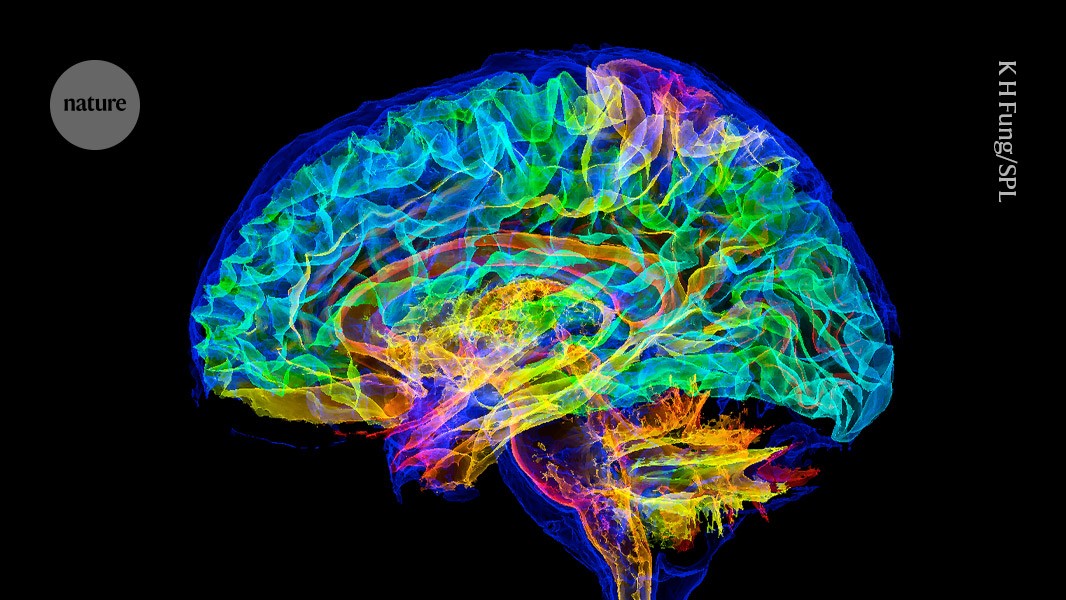 Neue Schizophrenie-Medikamente könnten Alzheimer-Krankheit behandeln