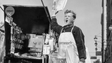 Catchy, clear, concise: three-part phrases boost research paper citations