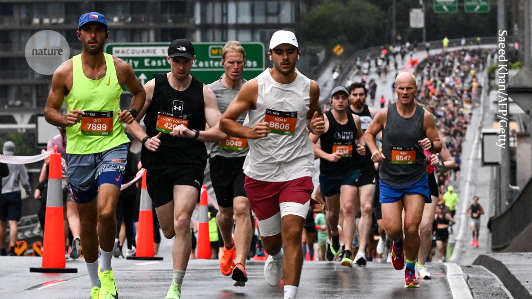 Marathonläufer nutzen Gehirnzellen-Isolierung als Energiequelle für das Rennen