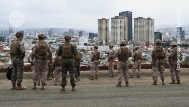 ‘Boggles the mind’: US defence department slashes research on emerging threats