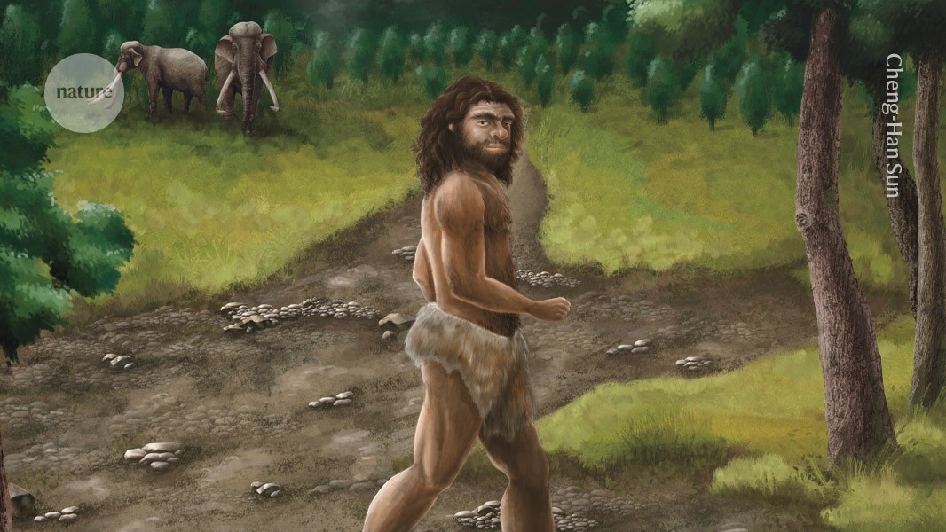 Geheimnisvoller menschlicher Fossilfund in Taiwan: Ein Denisovan entdeckt