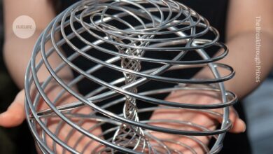 Obesity-drug pioneers and 13,508 physicists win US$3-million Breakthrough Prizes