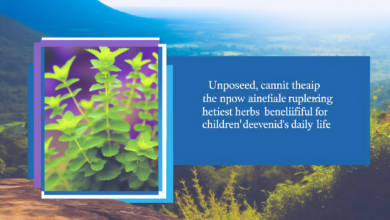 Die besten Kräuter für den Kinderalltag