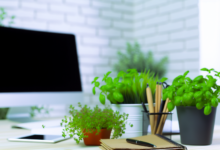 Kräuter für den Alltag im Büro