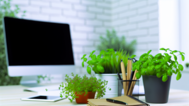 Kräuter für den Alltag im Büro