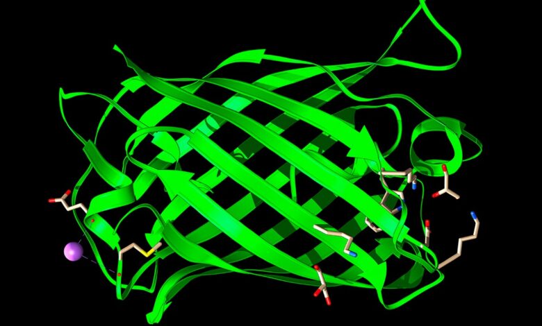I told AI to make me a protein. Here’s what it came up with