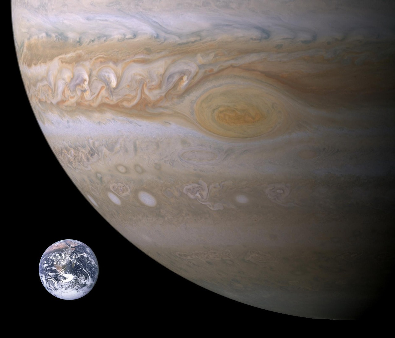 Der Jupiter im Vergleich zur Erde
