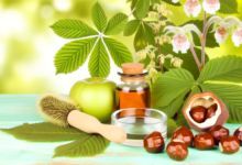 Naturheilkunde bei Hämorrhoiden – Sanfte Hilfe aus der Natur