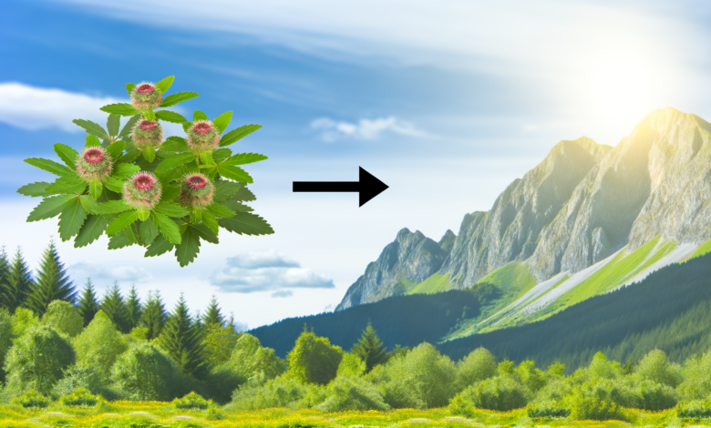 Naturheilkunde bei Herpes – Pflanzen gegen lästige Bläschen