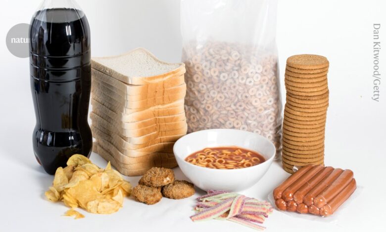 How much ultra-processed food do you eat? Blood and urine record it